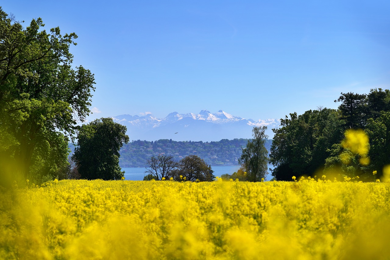 Auvergne-Rhône-Alpes